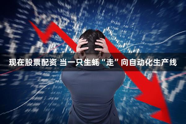 现在股票配资 当一只生蚝“走”向自动化生产线