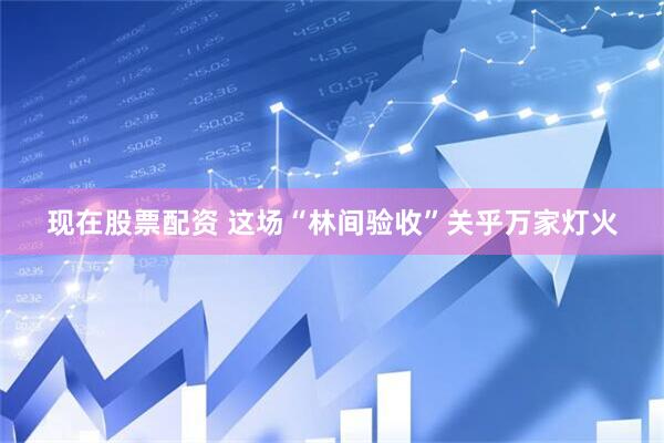 现在股票配资 这场“林间验收”关乎万家灯火